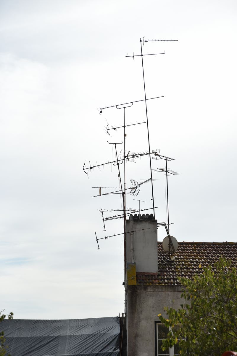 pt_202409_0061.jpg
